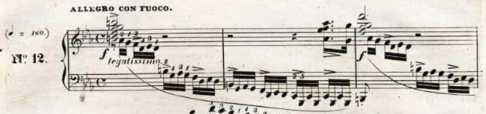 Chopin Broken Slur 1st Ger.jpeg