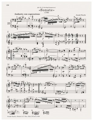 Vintage Partitur - Haydn Sonata copy.jpg