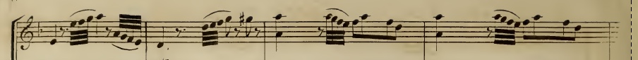 Haydn B.jpeg