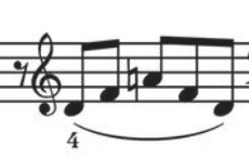 henle.png