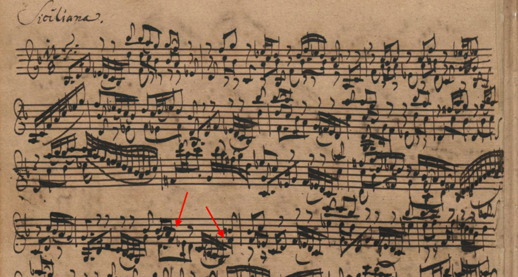 Bach MS.png